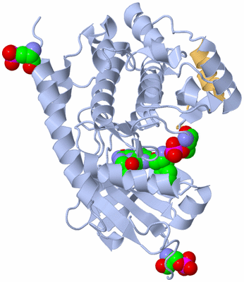 Image Biological Unit 1