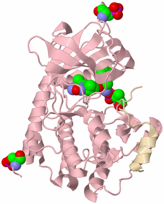 Image Biological Unit 3