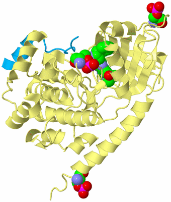 Image Biological Unit 4