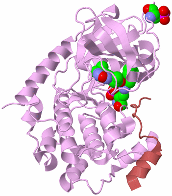 Image Biological Unit 5