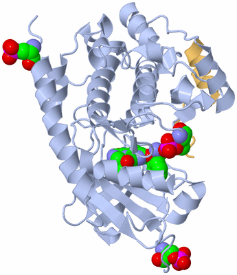 Image Biological Unit 1