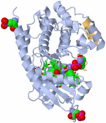 Image Biol. Unit 1 - sites