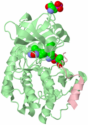 Image Biological Unit 2