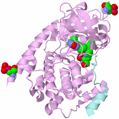 Image Biological Unit 3