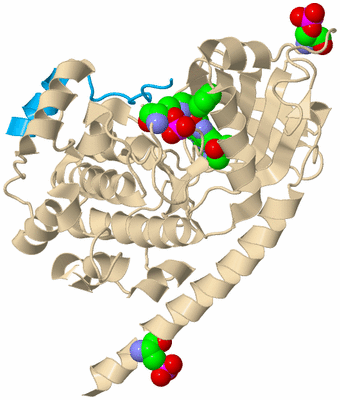 Image Biological Unit 4