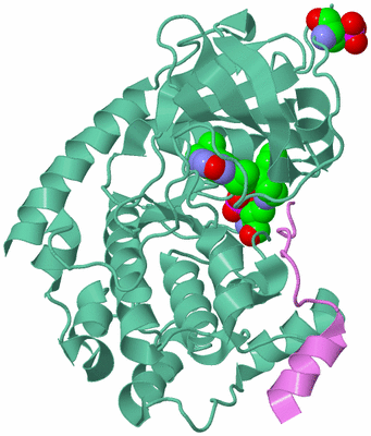 Image Biological Unit 5