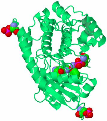 Image Biological Unit 6