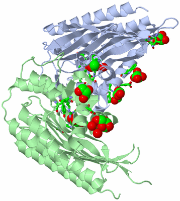 Image Asym./Biol. Unit - sites