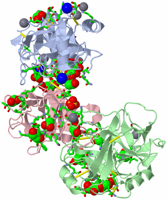 Image Asym./Biol. Unit - sites