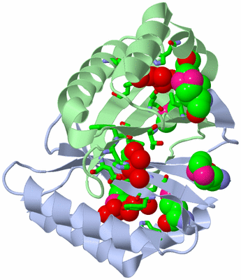 Image Asym./Biol. Unit - sites