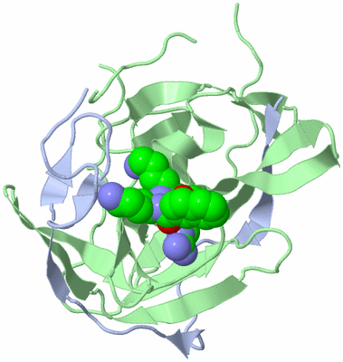 Image Biological Unit 1