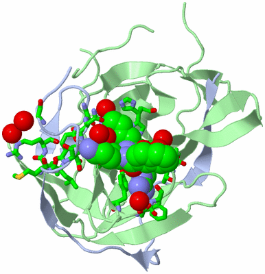 Image Biol. Unit 1 - sites