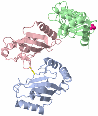 Image Asym./Biol. Unit