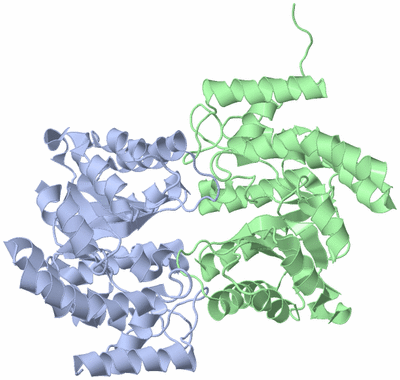 Image Asym./Biol. Unit