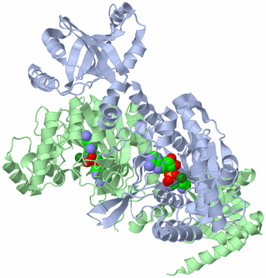 Image Biological Unit 1