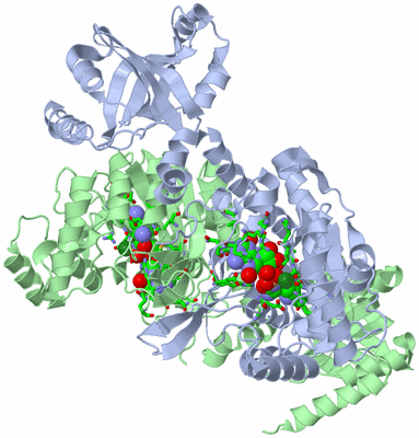 Image Biol. Unit 1 - sites