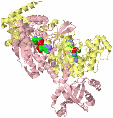 Image Biological Unit 2