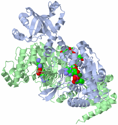 Image Biological Unit 1