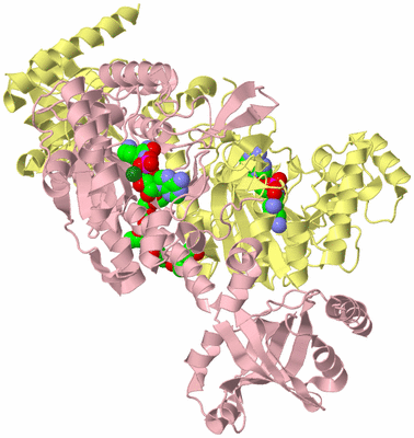 Image Biological Unit 2