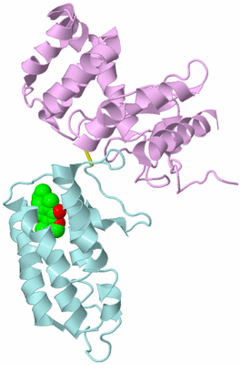 Image Biological Unit 2