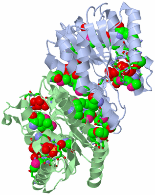 Image Asym./Biol. Unit - sites