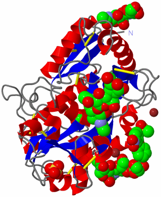 Image Asym./Biol. Unit