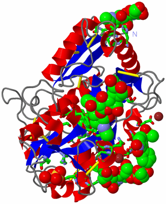 Image Asym./Biol. Unit - sites