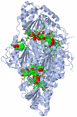 Image Biol. Unit 1 - sites