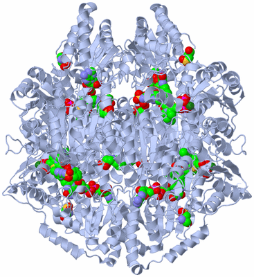 Image Biological Unit 2