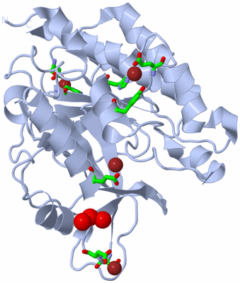 Image Biol. Unit 1 - sites