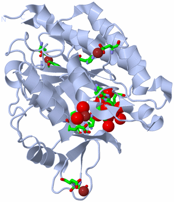 Image Biol. Unit 1 - sites