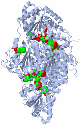 Image Biological Unit 1