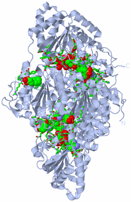 Image Biol. Unit 1 - sites