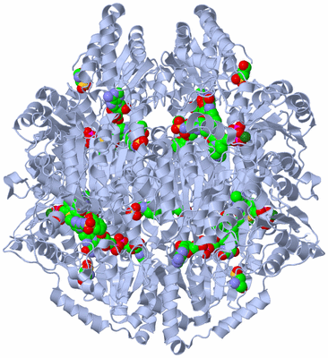 Image Biological Unit 2