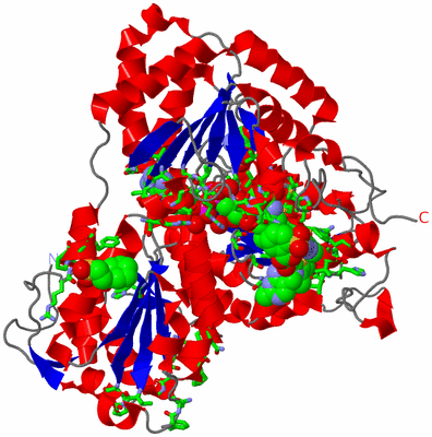 Image Asym. Unit - sites