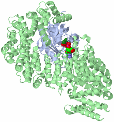 Image Biological Unit 1