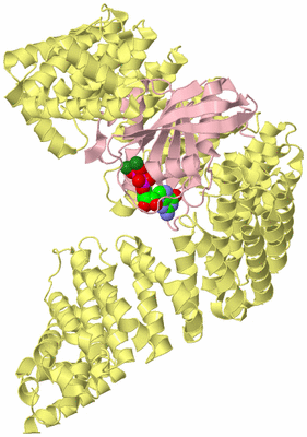 Image Biological Unit 2