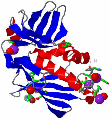 Image Asym./Biol. Unit - sites