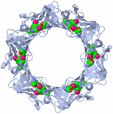 Image Biological Unit 1