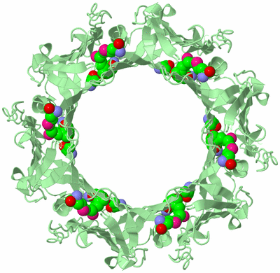 Image Biological Unit 2