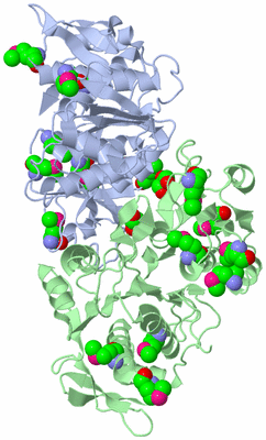 Image Asym./Biol. Unit