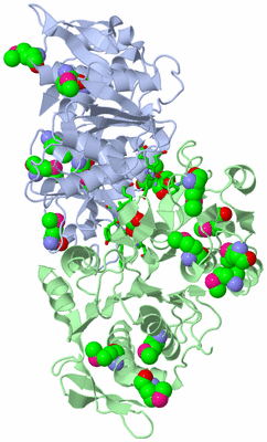 Image Asym./Biol. Unit - sites