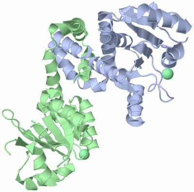 Image Asym./Biol. Unit