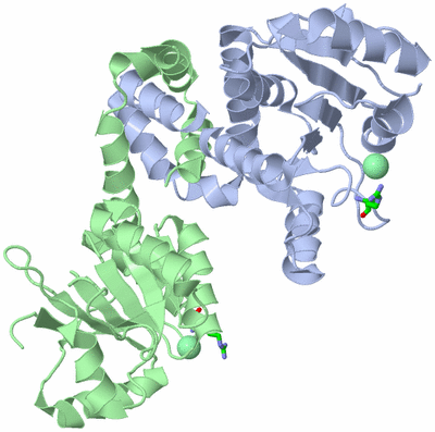 Image Asym./Biol. Unit - sites