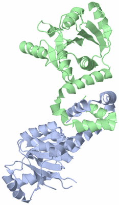 Image Asym./Biol. Unit