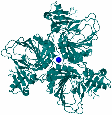 Image Biol. Unit 1 - sites