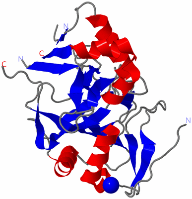 Image Asym. Unit - sites