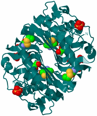 Image Biological Unit 1