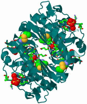 Image Biol. Unit 1 - sites