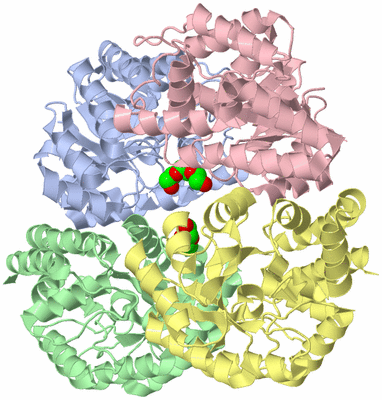 Image Asym./Biol. Unit